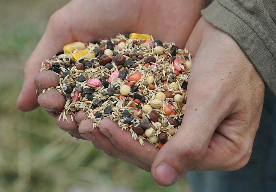 8 The selection of multiple cover crop and pasture plant species are improving soil health and the overall production capacity of the Mike McDonald farm near Palmyra, NE. USDA-NRCS photo by Ron Nichols.