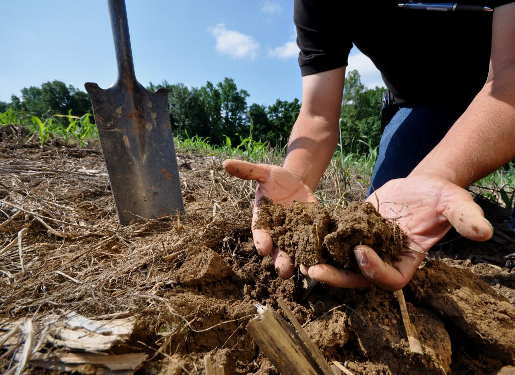 Soil Health Soil Health