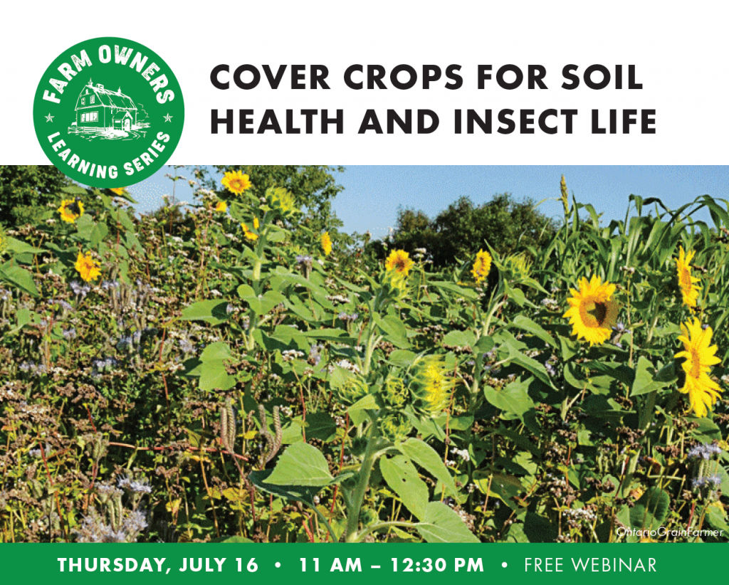 covercrops covercrops