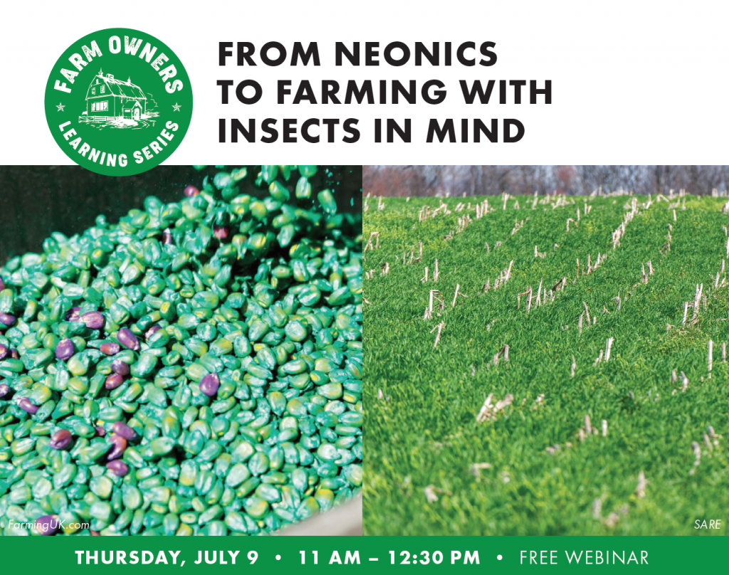 neonics neonics