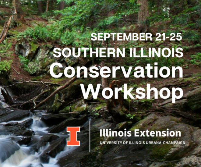 ilsummerworkshops ilsummerworkshops