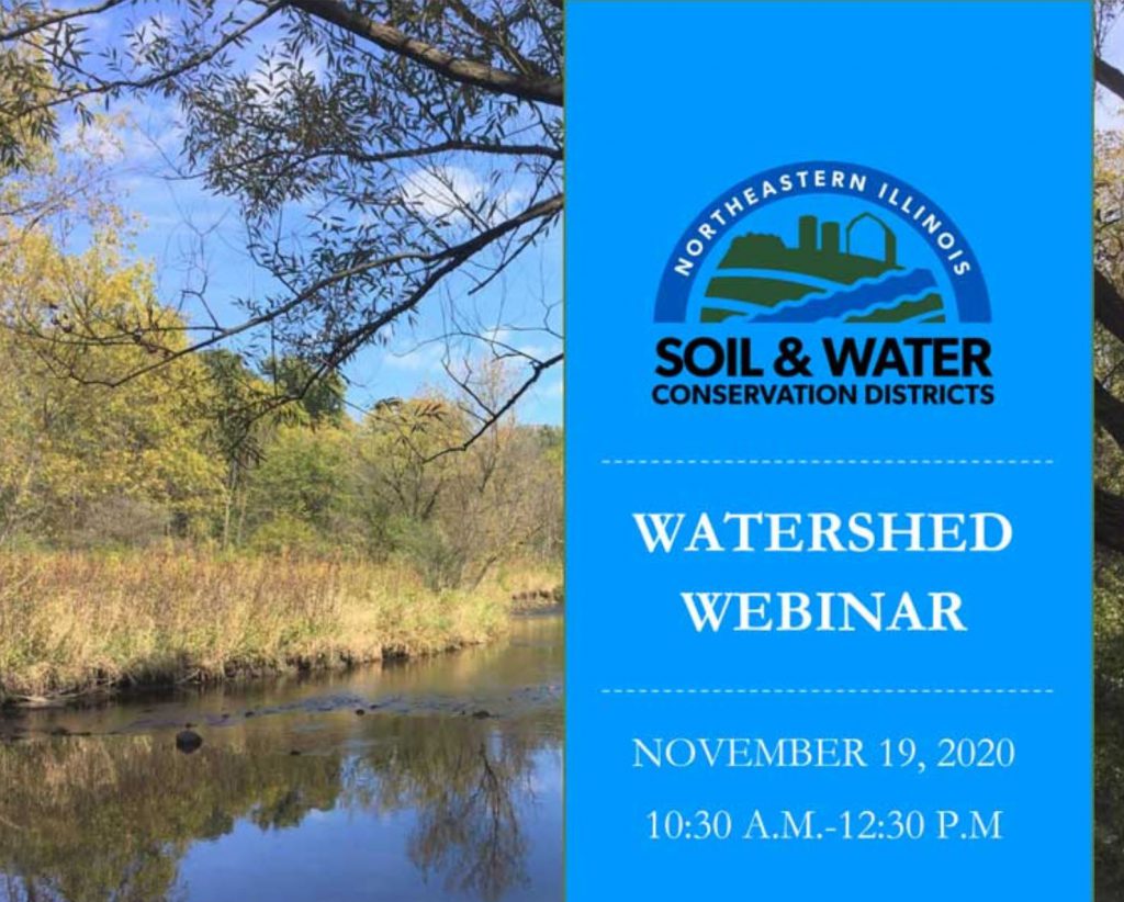 webinar webinar
