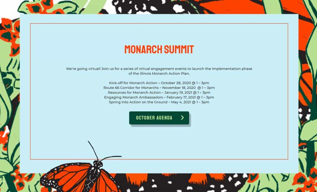 monarch monarch