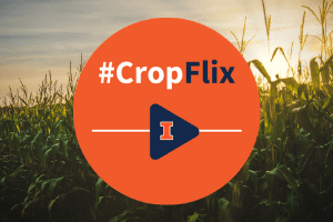 CropFlix Website Slider_200x300 CropFlix Website Slider_200x300