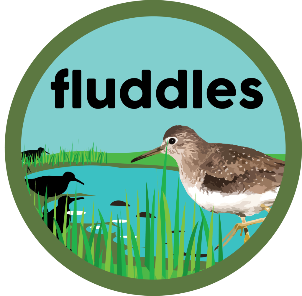 FLUDDLE IMAGES 7 FLUDDLE IMAGES 7
